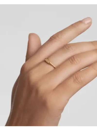 Кольцо женское PDPaola Cleo AN05-B01