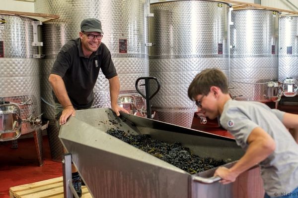 Domaine Lignier-Michelot