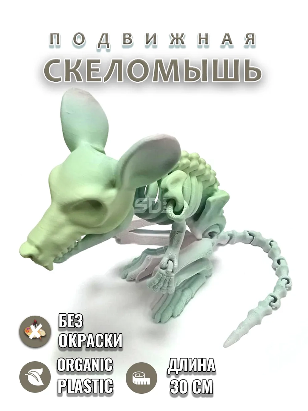 Скелет Мышь