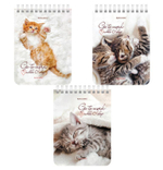 Блокнот А6 40л,клетка, на гребне "Милые котята" (BRAUBERG)