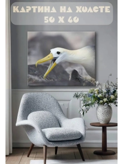 Картина на стену 40 X 50 Чайка