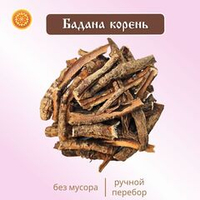 Бадан (корень)