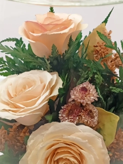 натуральные розы в стекле, вакуум