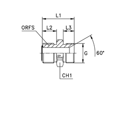 Адаптер AS D18-20 ORFS 1.3/16 - BSP 1