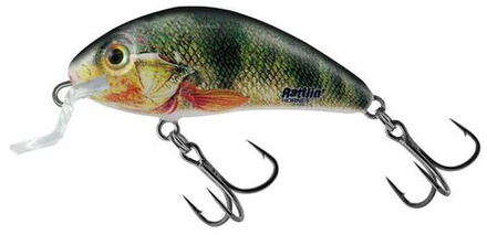 Воблер плавающий Salmo HORNET RATTLIN F 04.5/SNP