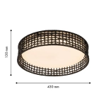 Потолочный светодиодный светильник F-Promo Conrad 4750-4C