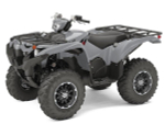 Квадроцикл YAMAHA Grizzly 700 EPS STD (ПСМ)