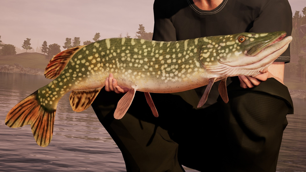 Fishing Sim World (для ПК, цифровой код доступа)