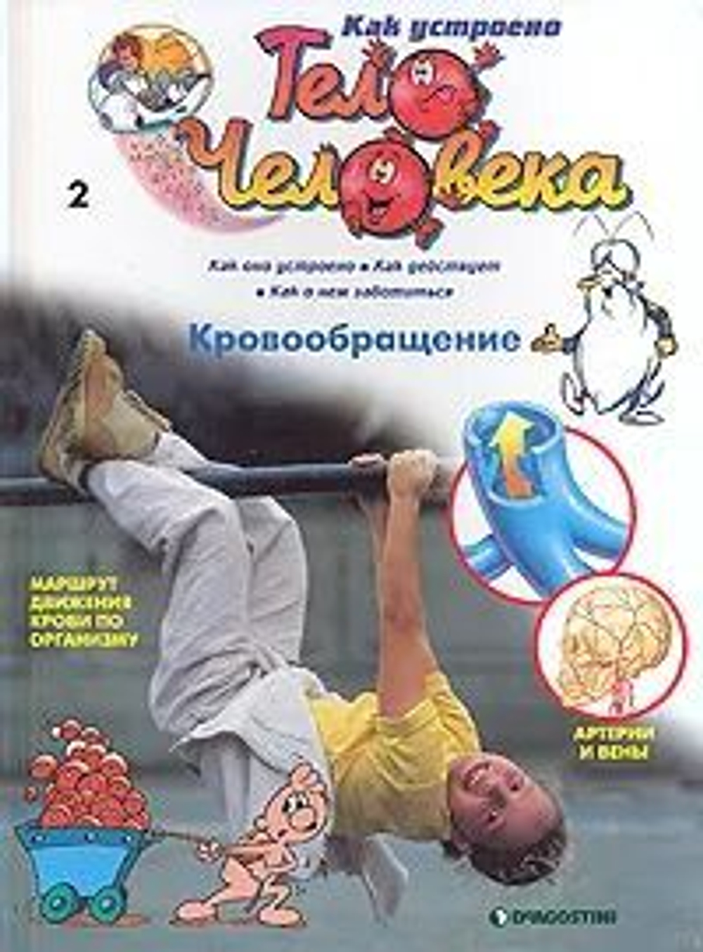 Как устроено тело человека (31 номер журналов)
