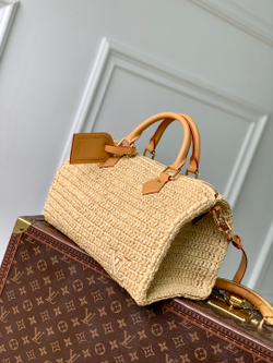 Louis Vuitton Speedy 30