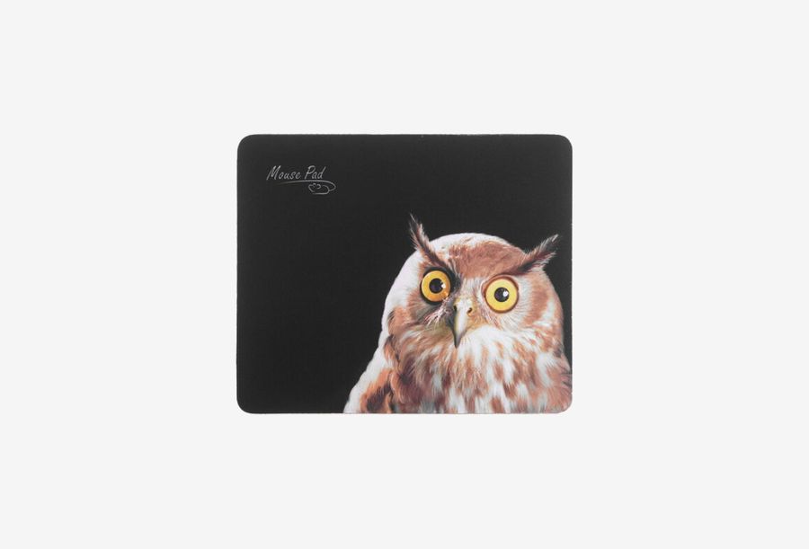 Dialog PM-H15 Owl_0126709110113