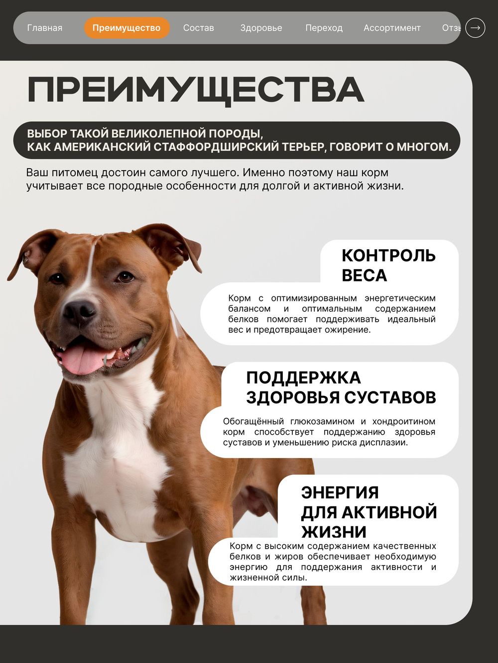 Корм сухой для взрослых собак породы Американский стаффордширский терьер, премиум полнорационный комплекс, с индейкой, 12 кг, QUATTRO