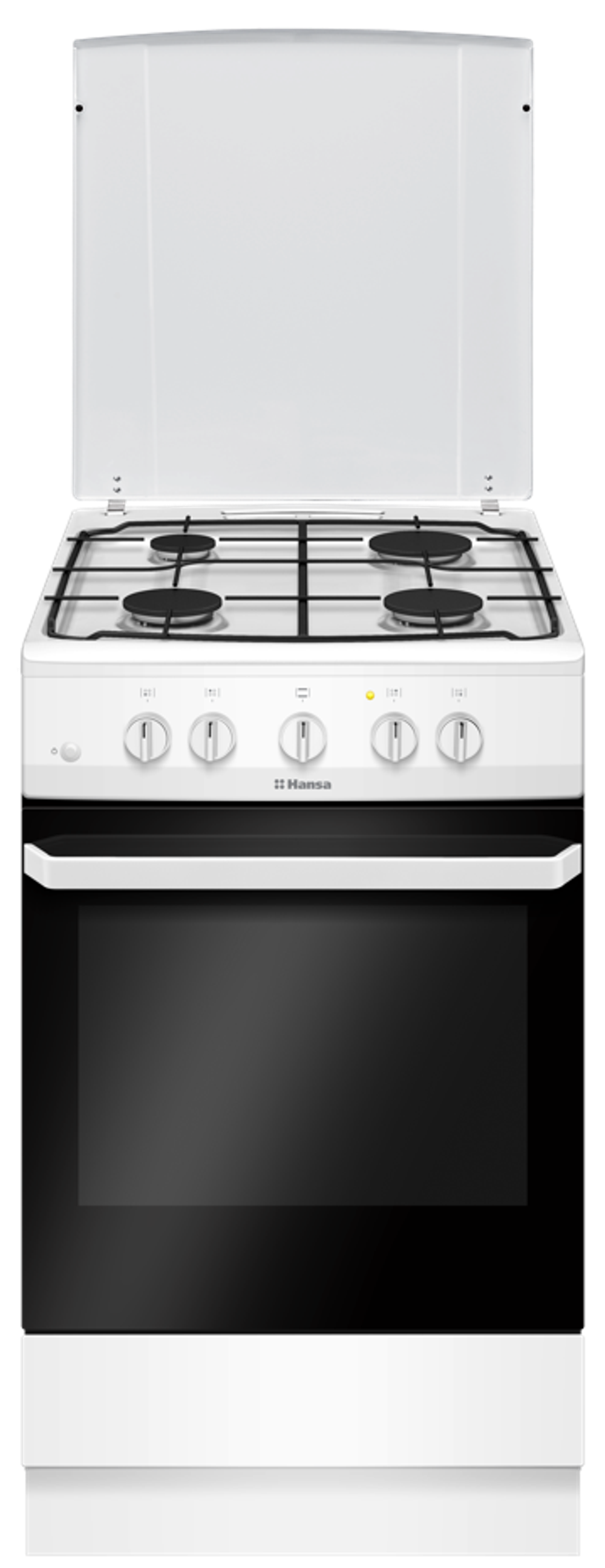 Кухонная плита Hansa FCGW51099