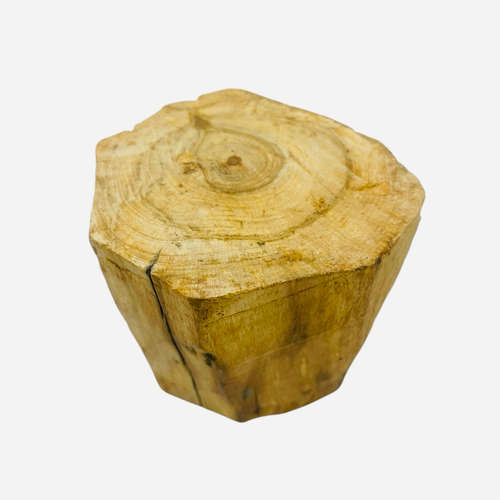 Насыщенный пенек дерева пало санто (525 гр)