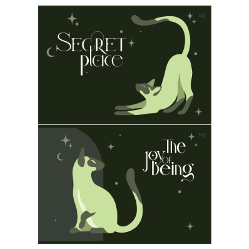 Альбом для рисования 40л., А4, на скрепке BG "Secret Pla