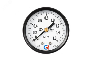 Манометр ТМ-310 0-0,6 МПа G1/4 осевой РОСМА 11983