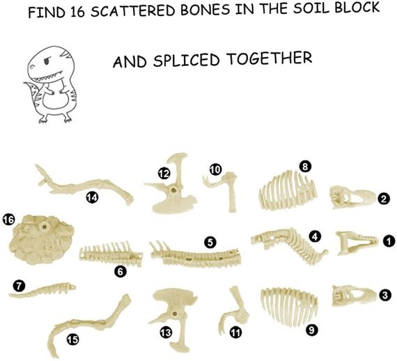 Набор для раскопок ископаемых динозавров