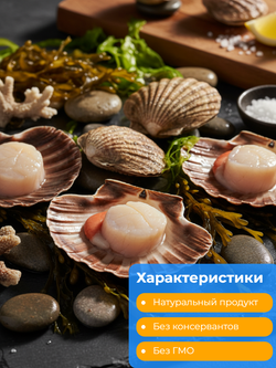 Гребешки свежемороженые без икры 10/20 (8% глазурь) 1 кг