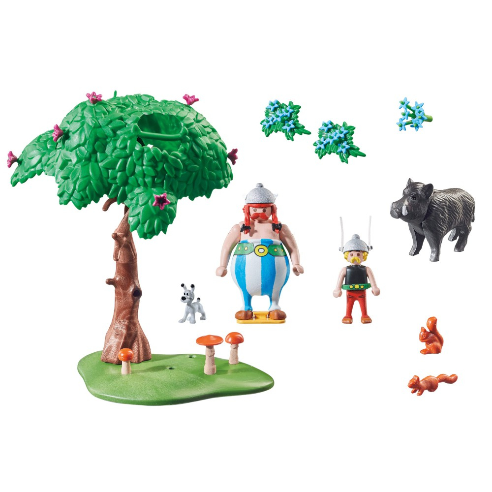 Playmobil - Asterix: Охота на диких 71160