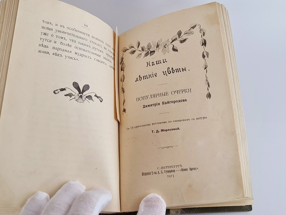 "Наши весенние цветы. Серия 1-3. Наши летние цветы. Серия 1-2". Д.Н.Кайгородов. 1915г.