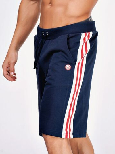 Мужские шорты с лампасами (Размер: S) (Цвет: серый)