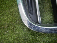 DSCN6317.jpg