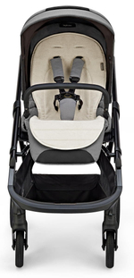 Прогулочная коляска Inglesina Aptica XT 2025 Canyon Grey