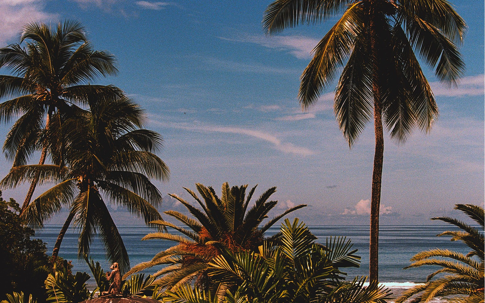 ЭКОЛОГИЧНЫЙ БРЕНД