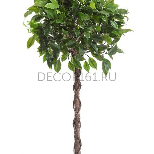 Фикус Бенджамина Топиари 90см арт. 10.32306N Скидка