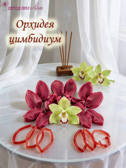 Орхидея цимбидиум