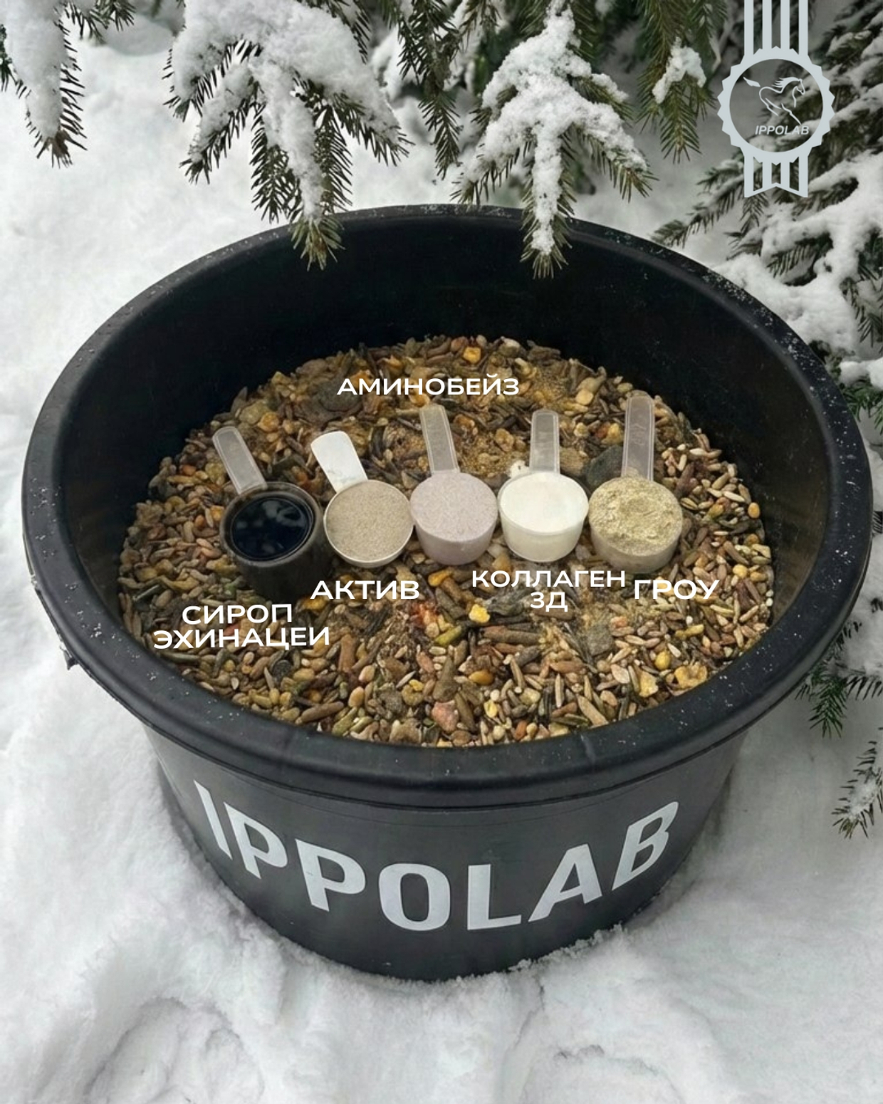 Особенности кормления лошадей зимой