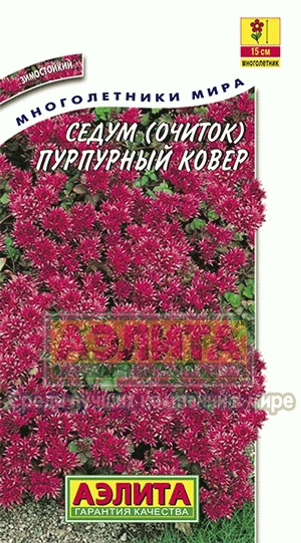 Седум Пурпурный ковер (очиток) Аэлита