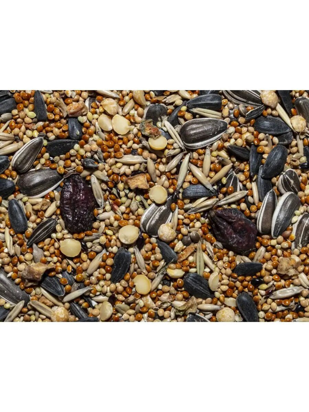 Корм для средних попугаев Baka High Quality, 500г