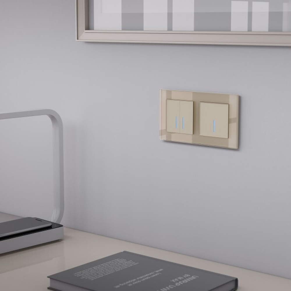 Рамка на 2 поста Favorit (шампань,стекло)