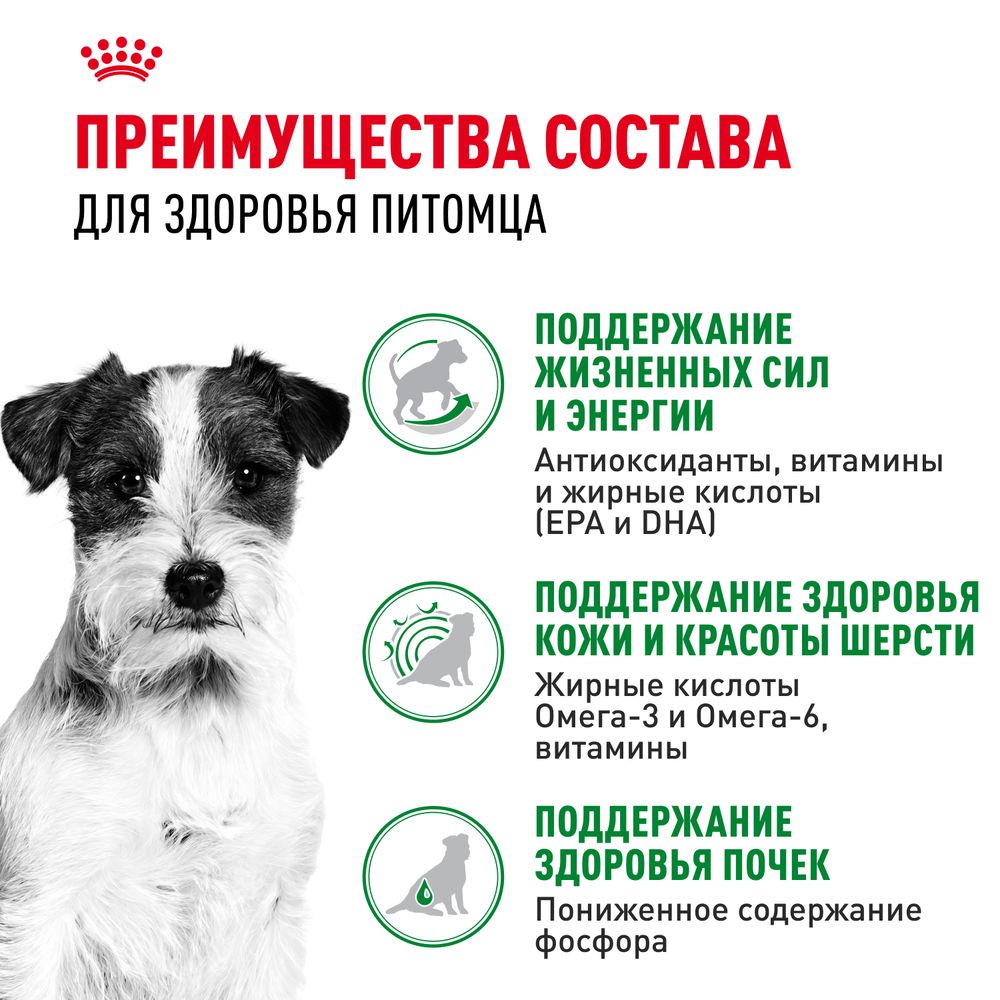Пауч Royal Canin Mini Ageing 12+ для стареющих собак мелких размеров в возрасте старше 12 лет Пауч Royal Canin Mini Ageing 12+ для стареющих собак мелких размеров в возрасте старше 12 лет