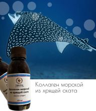 Коллаген морской из хрящей ската