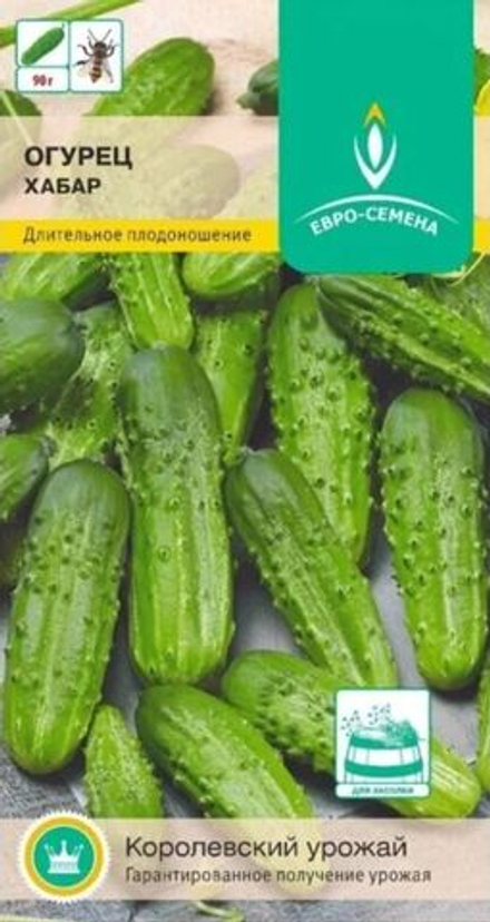Огурец Хабар