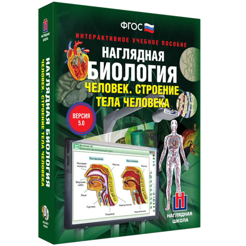 Наглядная биология. 8 - 9 классы. Человек. Строение тела человека