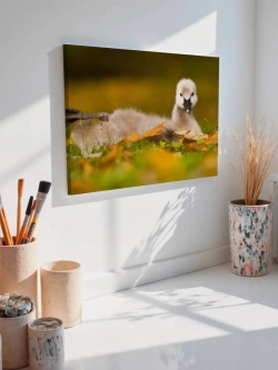 Картина на стену 40 X 50 Утка