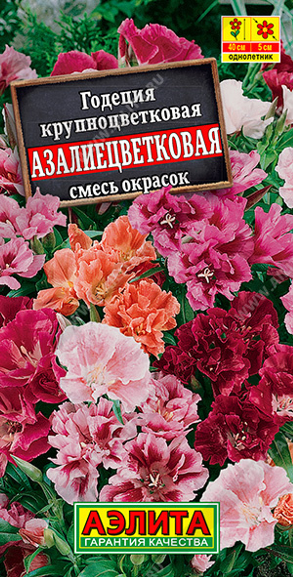 Годеция Азалиецветковая махровая, смесь сортов 0,3гр Аэлита