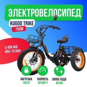 Электровелосипед KUGOO TRIKE 750W (48V/15.6Ah) фото №2