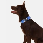 Ошейник Midnight Safari