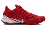 Кроссовки Nike Kyrie Low 2 Tb