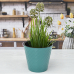 Горшок цветочный Manhattan 1,6л D160мм, тропический лес