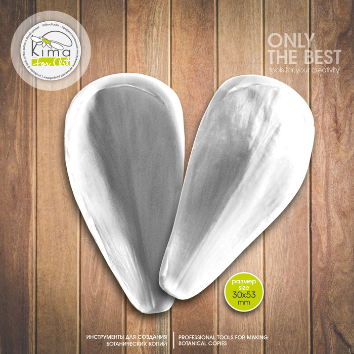 Крокус лепесток большой