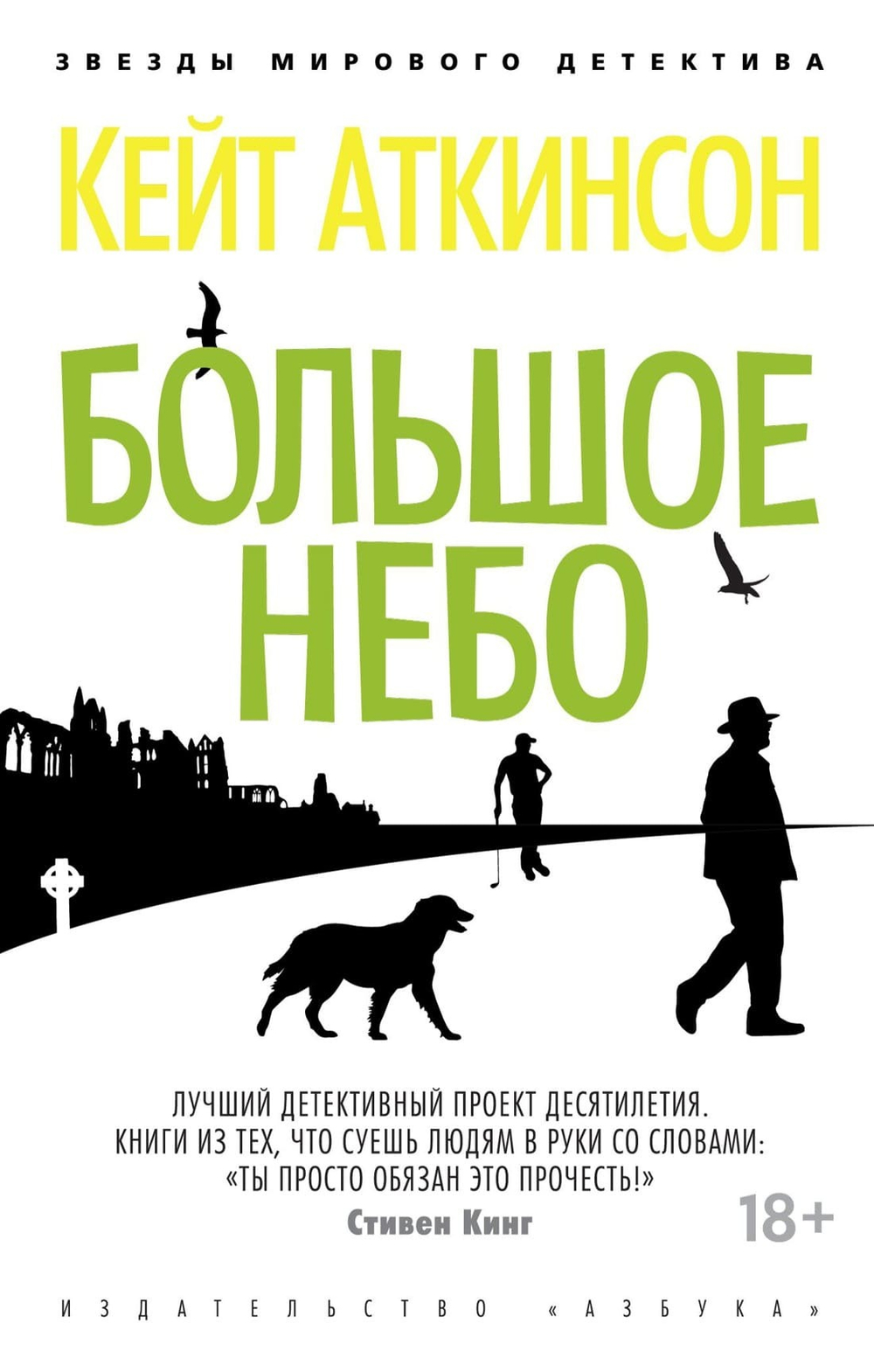Большое небо. Кейт Аткинсон