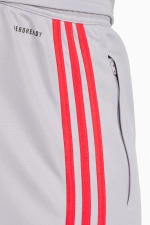 Штаны adidas Squadra 25 Training - серый