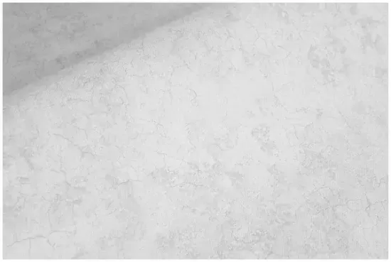 Обои винил на флиз.осн Флоренция фон 10-1017-11