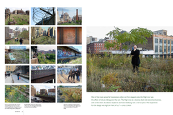 Gardens of the High Line. Piet Oudolf, Rick Darke
