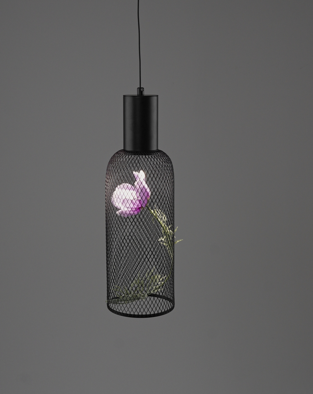 Светильник подвесной светодиодный Moderli V11873-PL Ophelia